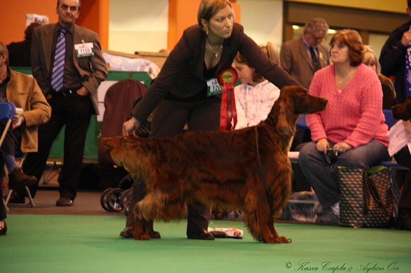 Crufts2011_2 164.jpg